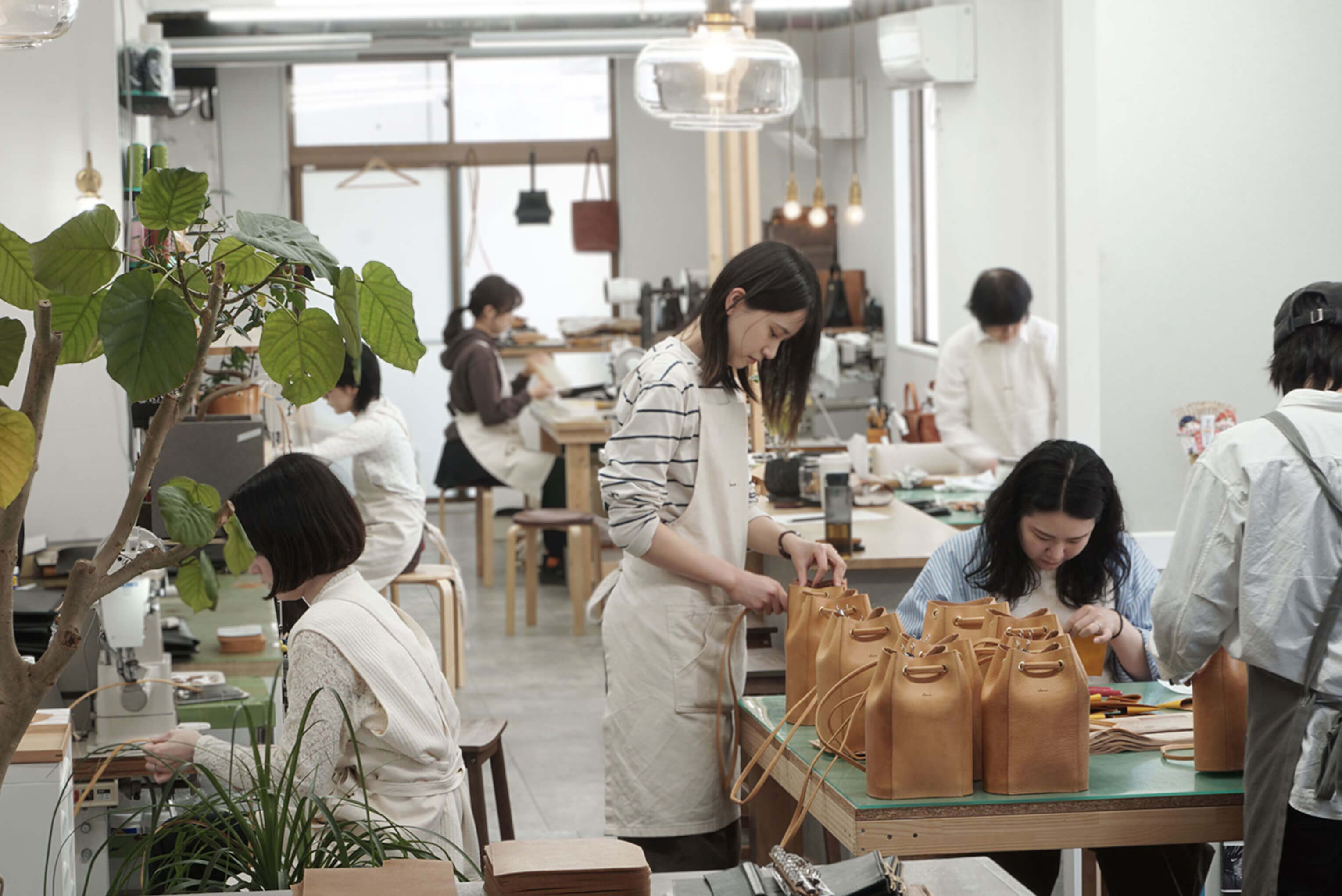 採用情報